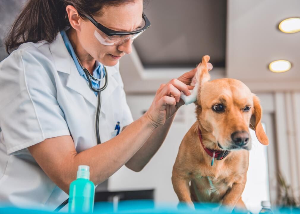 Prevent ear infections
